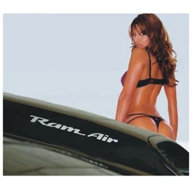 93-02 PONTIAC FIREBIRD  TRANS AM   WS6 RAM AIR REPLACEMENT HOOD DECALS 2 SETS