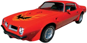 1973 1974 1975 1976 1977 1978 Pontiac Firebird Trans Am Bird name Decal Graphics