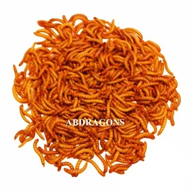 Live Mealworms Sizes: sm,med,lrg,giants Qty:50-2,000 Free Shipping or FedEx!!
