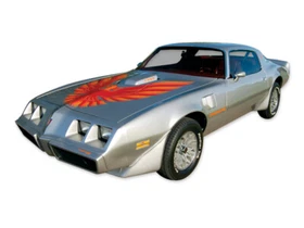 1978 1979 1980 Pontiac Firebird Trans Am (Turbo) Bird Graphic Name Decal Stripe
