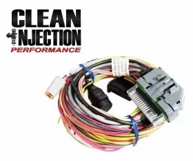 30-2906-96 AEM Lead Wiring Harness Flying