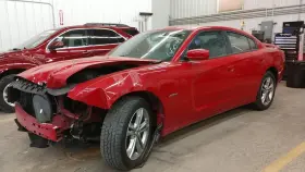 591-08173 DODGE Charger Bcm Ecu