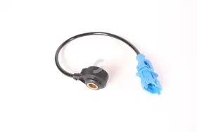 187739 FERRARI Sensor Firing