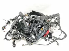 24012-5CH3A INFINITI Front Engine Motor Wiring Wire Harness