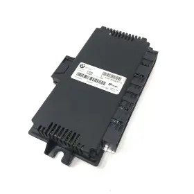 61353450979 LEAR Mini Footwell Light Control Module Bcm