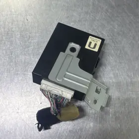 WG1U747D INFINITI Keyless Lock Anti Theft Control Module FX35