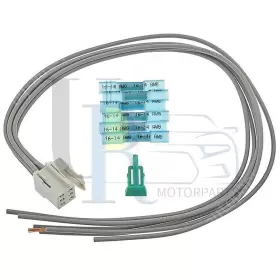 URMP240219142576 STANDARD IGNITION Keyless Module Connector