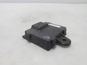 106965100D TESLA Rear Right Passenger Door Handle Unit Module #3