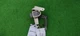 Genuine BMW G30 G31 G11 G14 G15 Height Level Sensor 6870200 6869138 6873098
