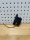 06-10 BMW 528xi 528i E60 OEM Bluetooth Antenna Control Module Unit 8450 6928461