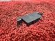 BMW E70 E71 E90 E82 E60 E63 BLUETOOTH OPTIC ANTENNA FIBER SYSTEM MODULE OEM 106K