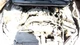 Used Multi-Function Module fits: 2016 Subaru Impreza Multifunction integrated un