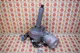 2014 2015 KIA SORENTO POWER STEERING COLUMN W/ MODULE & MOTOR 56300-1U500 OEM