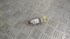 BMW E46 3-Series Crash Impact Sensor 6911038 0285002064 ID40456
