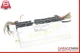 97-00 Mercedes R170 SLK230 ABS ASR Computer Control Module 0225450432 OEM