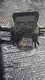 2017-2020 HYUNDAI ELANTRA 2.0L ABS ANTI LOCK BRAKE PUMP MODULE OEM 58920-F2500