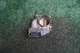 2015 2016 2017 HONDA Accord 2.4L ENGINE Throttle Body OEM 73K Miles GMF4A
