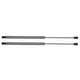 Front Hood Hold Rods Dampers for 02 03 04 05 06 Mini Cooper R50 R52 R53 SG202008