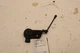 2017-2020 CADILLAC ESCALADE REAR LEFT DRIVER SIDE HEIGHT LEVEL SENSOR OEM