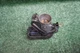 2013 HONDA Accord 2.4L ENGINE Throttle Body OEM 100K Miles GMF4A