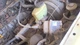  Cruise Control Servo Fits 92-95 TOYOTA  1792064