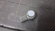 NEW OEM Mopar Park Assist Sensor 5YV68TZZAA RAM 1500 2500 Jeep Wrangler PDC