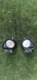 Mazda Rx8 2003-2008 Pair Of Fog Lights