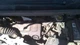 Used Engine Control Module (ECM) fits: 2014 Buick Encore Electronic Control Modu