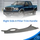 FOR 2004-2008 Ford F150 NEW A Pillar RH Passenger Side Interior Grey Trim Handle