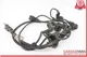 03-10 Porsche Cayenne 955 957 Bumper Parking Sensor Set w/ Wiring Harness OEM
