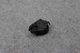 BMW 5 Series E60 E61 6 Series E63 E64 Actuator Actuator 6942993 Footwell Flap