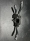 2003-10 Porsche Cayenne Steering Column Combination Switch Arms Assembly OEM