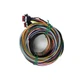 Racepak Chassis Wiring Harness 580-CA-HARNST;