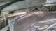 Chassis ECM Driver Assist Fits 15-17 FORD F150 PICKUP 27211746