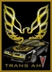 1977 Pontiac Firebird Trans Am & Logo, Toolbox - Refrigerator Magnet, 42 MIL