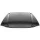 New Aftermarket Hood Panel F6ZZ16612BA Fits 1994-1998 Ford Mustang