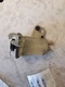 LINCOLN LINC-LS   2000 3.0L Power Steering Reservoir 469488