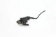 ⭐  99-05 Porsche 996 911 986 Headlight Suspension Height Level Sensor Oem