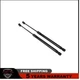 2x Rear Window Glass Lift Supports Struts for Honda Pilot 2009-2015 74875SZAA01