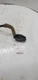 2012 NISSAN ALTIMA YAW RATE SENSOR 0265005828