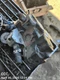 FUEL PUMP ENGINE MOUNTED OEM 10-22 MERCEDES-BENZ SPRINTV25 1YR WRNTY