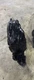 2013-17 Scion Genuine FR-S Toyota 86 Front Left Inner Fender Liner  OEM Damaged