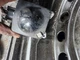 2007-2015 AUDI Q7 CRUISE CONTROL DISTANCE SENSOR OEM