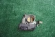 2014 2015 2016 HONDA Accord 2.4L ENGINE THROTTLE BODY OEM 140K Miles GMF4A