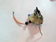 04 05 06 07 08 Audi A8L Front RH Door Lock Actuator 4E1837016
