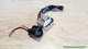 mazda  connector  fan control module 499300-3330  499300-3400 oem c79