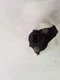 Cruise Control Module Actuator Fits 95 96 97 98 99 BMW 318I M3