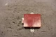 2002-2005 Lexus SC 430 Network gateway control module 89111-24010