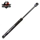 Qty(1) Hood Lift Supports Shock Struts Props for Porsche Cayenne 2003-2012 &lrm;6598