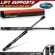 2x Rear Window Glass Lift Supports Shocks Struts for Honda Pilot 2009-2015 SUV